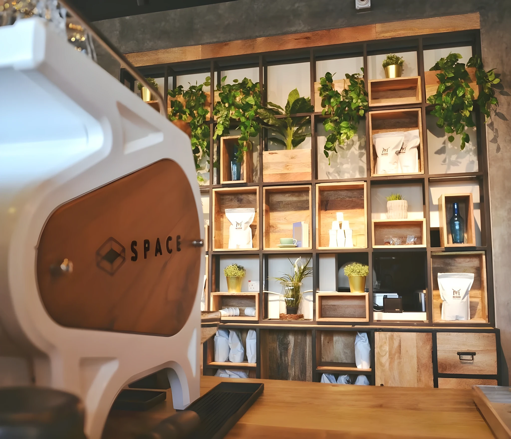 Interior of a coffee shop showing a white espresso machine labeled Space on a wooden counter, with a wall of wooden cube shelves holding green plants, white coffee bags, and decor behind it.