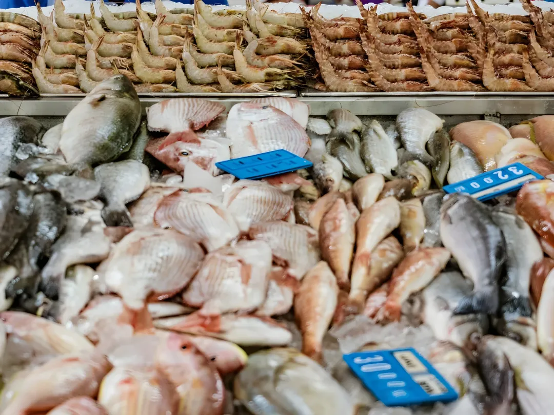 Old Ras Al Khaimah Fish Market: A Visitor's Guide to Fresh Gulf Seafood