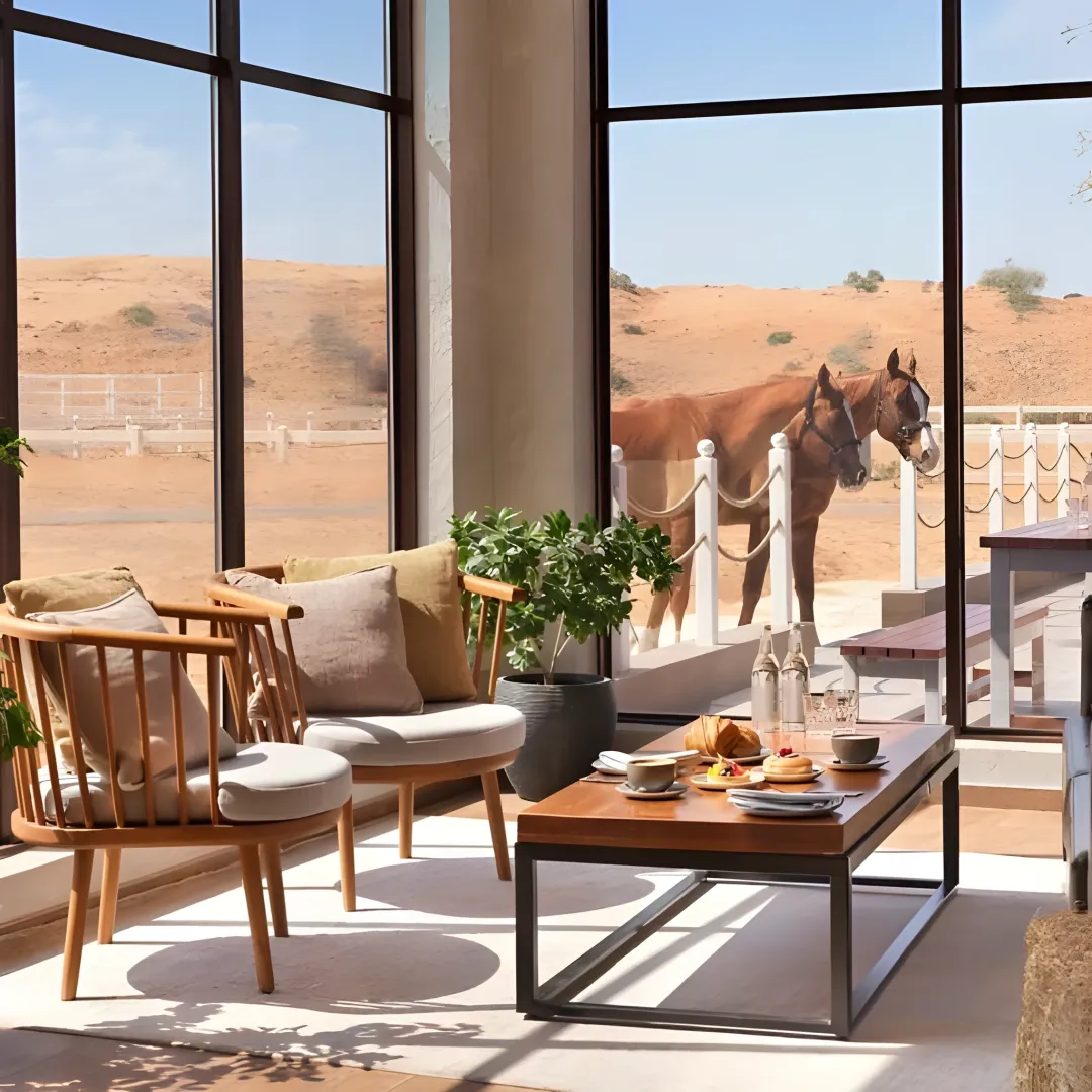 Paddock Cafe Ras Al Khaimah: Desert Coffee House With Horse Views